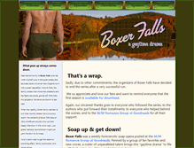 Tablet Screenshot of boxerfalls.com